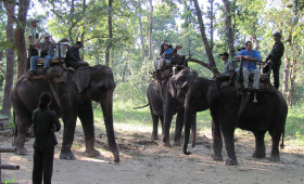 elephant-ridehungle-tour