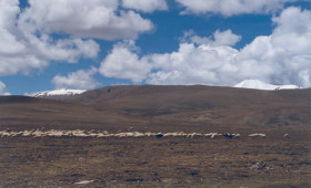 Tibet-yamdrok tour